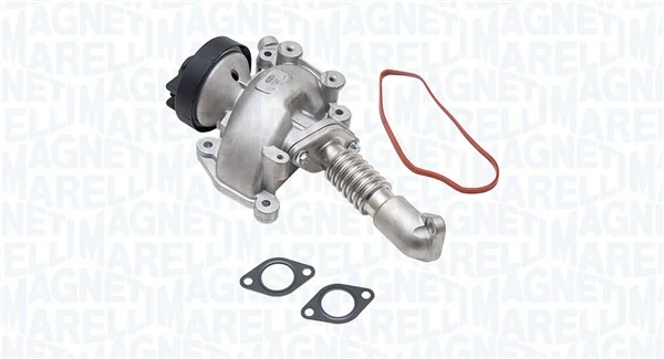 EGR Valve